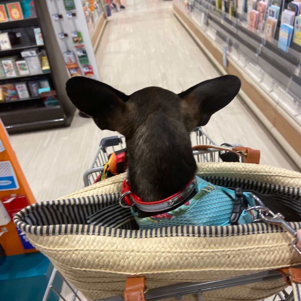 Meet your shopper n posher